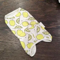 Item thumbnail for item 71561661-2c97-4ba4-90b1-d1df2195a0e7