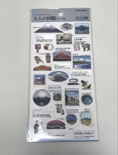 Item thumbnail for item f68d3234-d070-4b3f-a0cd-d68a9c8387f4