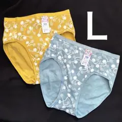 コットンショーツ　Ｌ　2枚　パンティ　スキャンティ