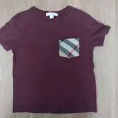 BURBERRY バーガンディ Tシャツ
