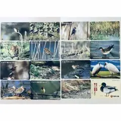鳥　ふみカード　使用済み