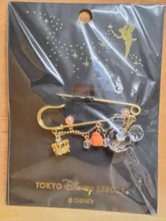 東京ディズニーリゾート　ブローチ　アクセサリー