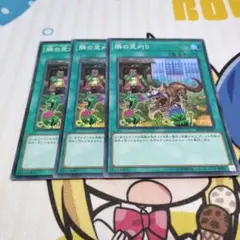 隣の芝刈り　スーパーレア3枚