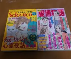 レディコミ　2冊セット