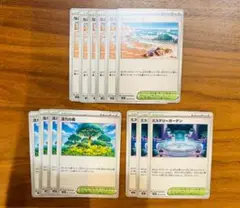ポケモンカード 活力の森 なみのりビーチ ミステリーガーデン 13枚セット