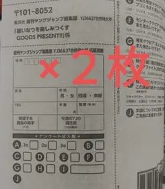 Nintendo Switch ドンキーコング 懸賞応募用紙２枚