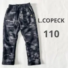 Item thumbnail for item c85b4804-1903-4f8d-a6f8-b1fbf3da9ef1