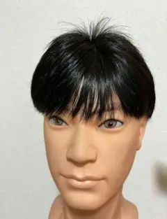 カット済み メンズ ウィッグ 男性用 かつら 100%人毛 黒 ハーフウイッグ