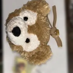 Duffy The Disney Bear パスケース