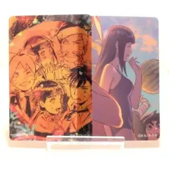 ビジュアルプレートコレクション ヒナタ＆うずまき家 3枚