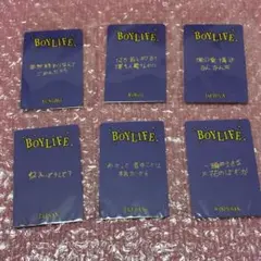 BOYLIFE K-POPタレントカードセット