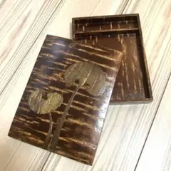 Item thumbnail for item 5ca15573-8ea2-49bc-bba8-fef47374f6f2