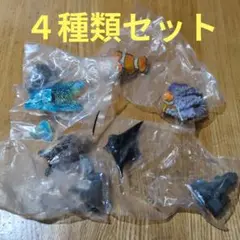 ②いきもの大図鑑ミニコレクション サンゴ礁に住む生き物 （４種類セット）
