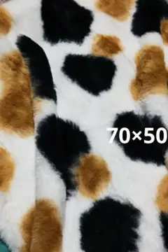 Item thumbnail for item 051e1c4c-ee01-45bf-abb3-7ce2bb3411bb