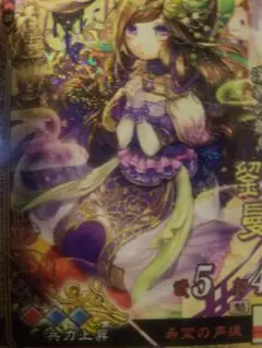 三国志大戦tcg 劉曼 スリーブ　宴 2025年最新】三国志大戦 SR 劉曼の人気アイテム - メルカリ