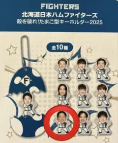 北海道日本ハムファイターズ 殻を破れ！たまご型キーホルダー2025 山縣秀