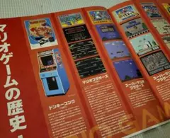 スーパーマリオブラザーズ 映画パンフレット