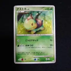 ピカチュウlv11 ヒコザルlv11ポッチャマlv13 ナエトルlv8 2025年最新】ナエトルlv8の人気アイテム - メルカリ