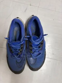 NIKEランニングシューズ　値下げ可能