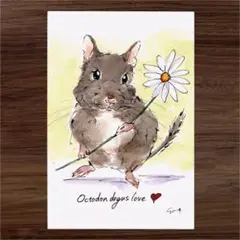 イラスト 原画 ポストカード 絵 【デグー】51