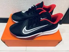 【特価20%オフ】NIKE PRECISION VII バッシュ25cm