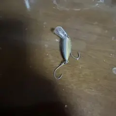 ウッサXS ロデオクラフト