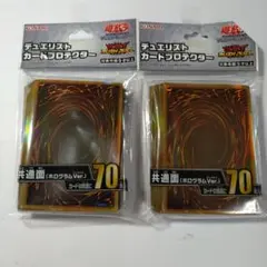 デュエリストカードプロテクター共通面ホログラムVer．2個セット