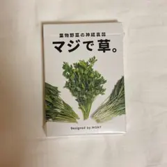 新品未開封　マジで草。カードゲーム