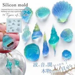 【速発送】10種 リアルシェル 貝殻 モールド 隠れ工房 GreenOcean