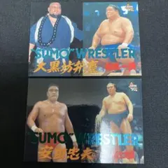 プロレスカード 1997年 安田忠夫 大黒坊弁慶