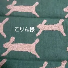 こりん様