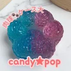 レジン肉球小物入れ♡
