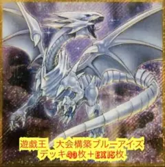 遊戯王　大会構築ブルーアイズデッキ40枚＋EX15枚