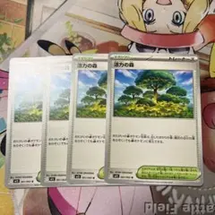 ポケモンカード 活力の森　4枚