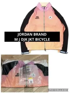 Item thumbnail for item ec04404b-b9a7-40b1-97b3-6b7bfafd0969