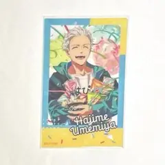 WIND BREAKER ホログラムクリアカード バースデー 梅宮一