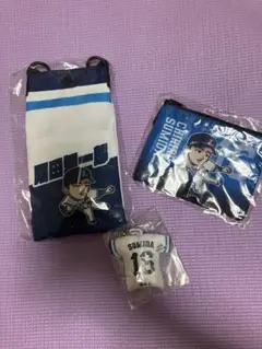埼玉西武ライオンズ　隅田知一郎