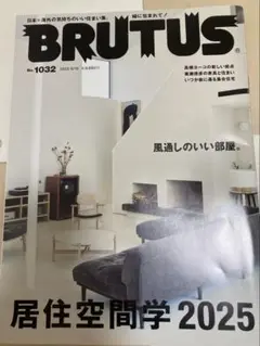 ＢＲＵＴＵＳ（ブルータス） ２０２５年６月１５日号 （マガジンハウス）