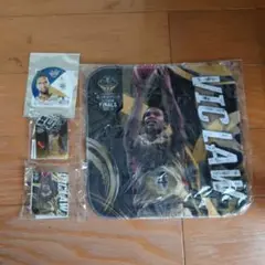 Bリーグ ファイナル　琉球ゴールデンキングス　ヴィック・ロー