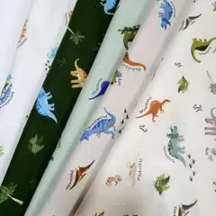 1 ハギレ 可愛い 恐竜 ジュラシック 5枚セット 縦30×横48cm