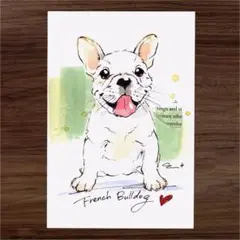 イラスト 原画 ポストカード 絵 【フレンチブルドッグ】100