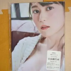 生田絵梨花 元乃木坂46 両面抱き枕カバー90cm×45cm 新品未使用