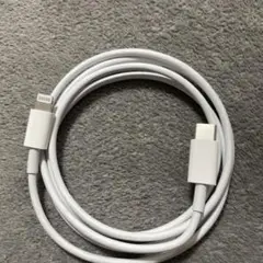 Apple純正品 充電器 新品