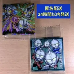 即購入OK★ウルトラマン シールウェハースvol.5 2種セット