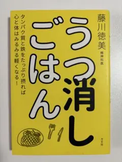 うつ消しごはん タンパク質と鉄をたっぷり摂れば心と体はみるみる軽くなる!