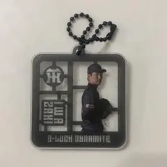 【阪神百貨店限定】 阪神タイガース 岩崎 ブラックダイナマイト アクキー