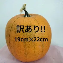 Item thumbnail for item 292b691f-f062-45f1-96de-073c495a0823