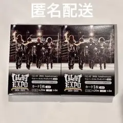 GLAY 30th Anniversary ウエハース コレクトボックス 2点
