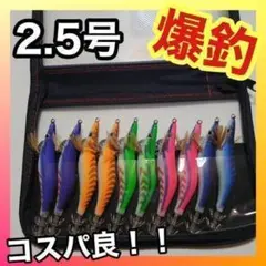 【15】2.5号 エギング ケース付きセット 夜光 イカ釣り
