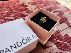 PANDORA チャーム パンドラ 14K